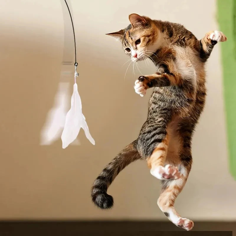 Bacchetta Interattiva per Gatti con Piuma e Campanello – Base a Ventosa